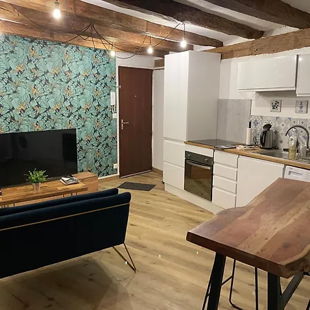 Apartmán Plantagenet -le Vieux Mans - Hyper Centre Le Mans