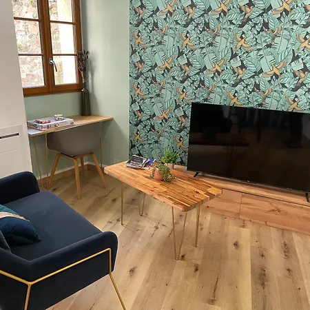 Plantagenet -le Vieux Mans - Hyper Centre Appartement *
